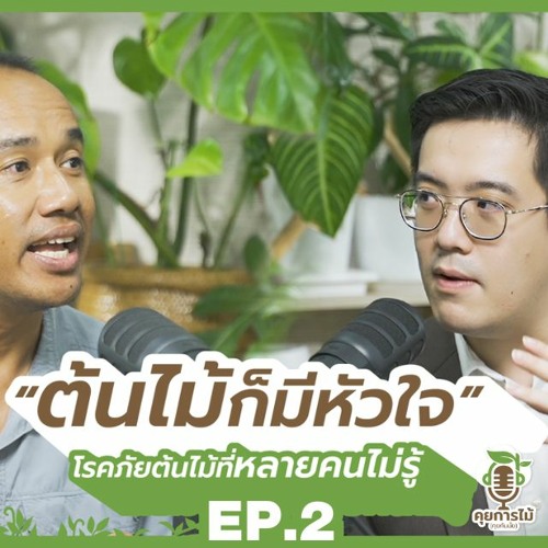 คุยการไม้ EP.2 | 'โรคต้นไม้' ที่หลายคนอาจไม่เคยรู้ | FlexiPodcast