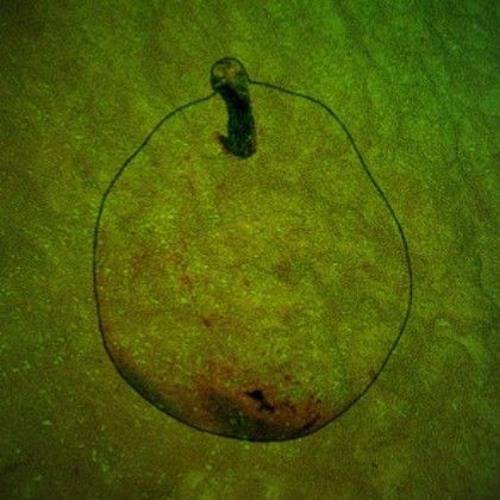 Bad Apple - ZUN (microtonal cover in 30edo)