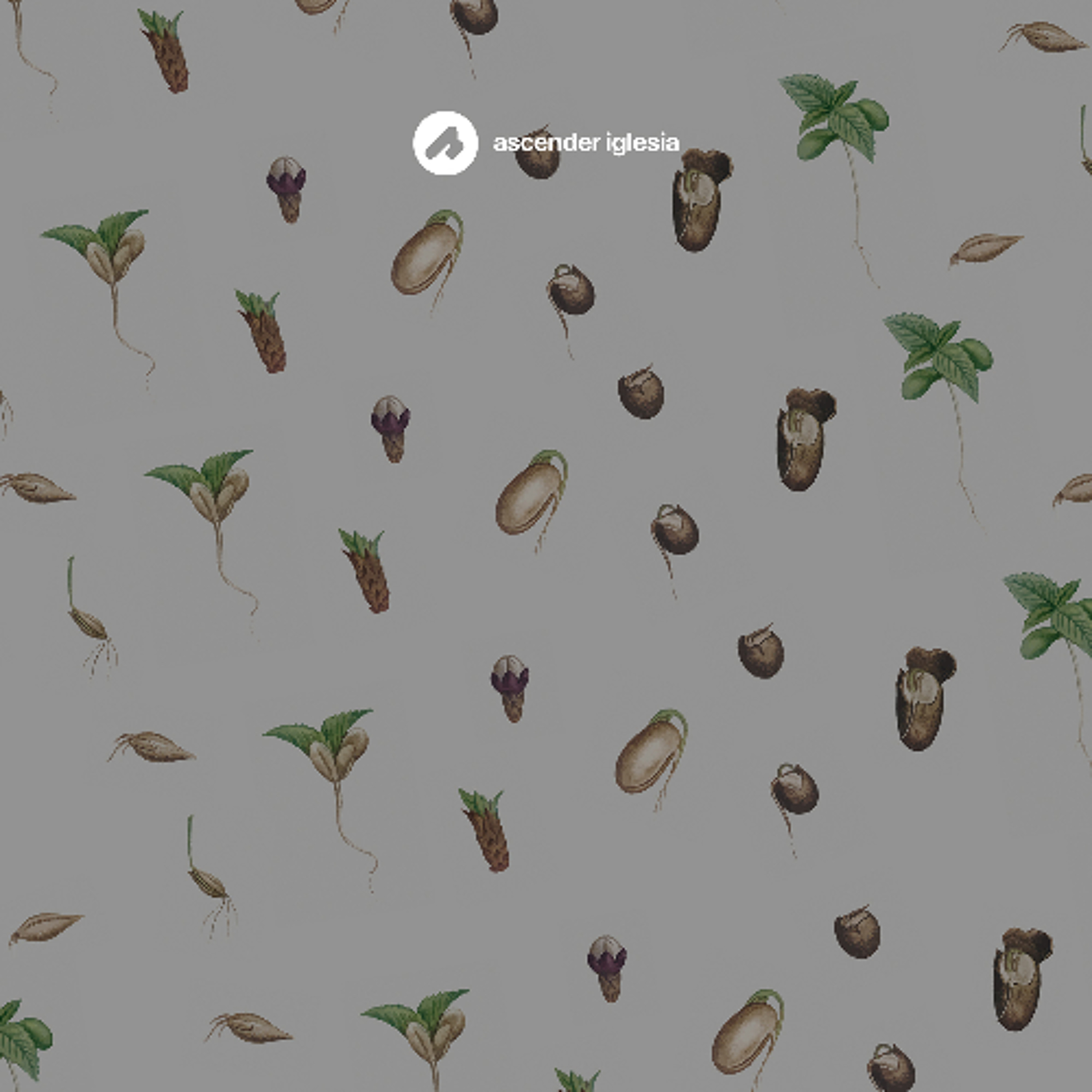 El valor de las cosas pequeñas