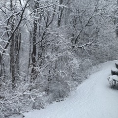 bored of me (prod. death mark)