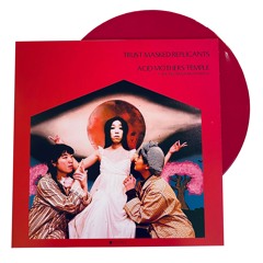 Acid Mothers Temple - Asoko Ananda from Trust Masked Replicants LP