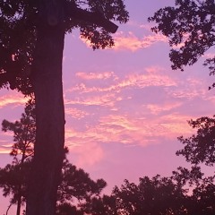 A Place Only Innocence Knows