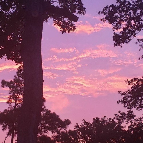 A Place Only Innocence Knows