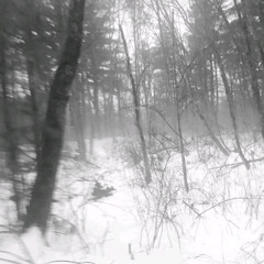 имя