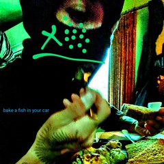 bake a fish in your car