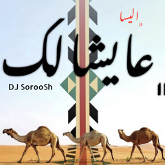 Ayshalak (Elisa)Remix عایشالک (الیسا)