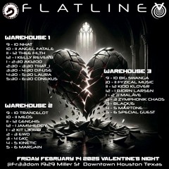 FLATLINE @ fr33dom Live Set (in memory of D:FUSE)