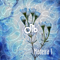 Madeira 1  / downtempo, baby! / # 37