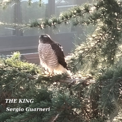 The King