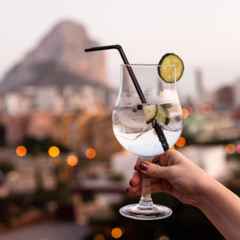 test track oogabooga