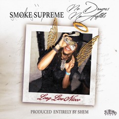 slow it down [prod. shem]