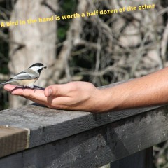 408 my favourite colours