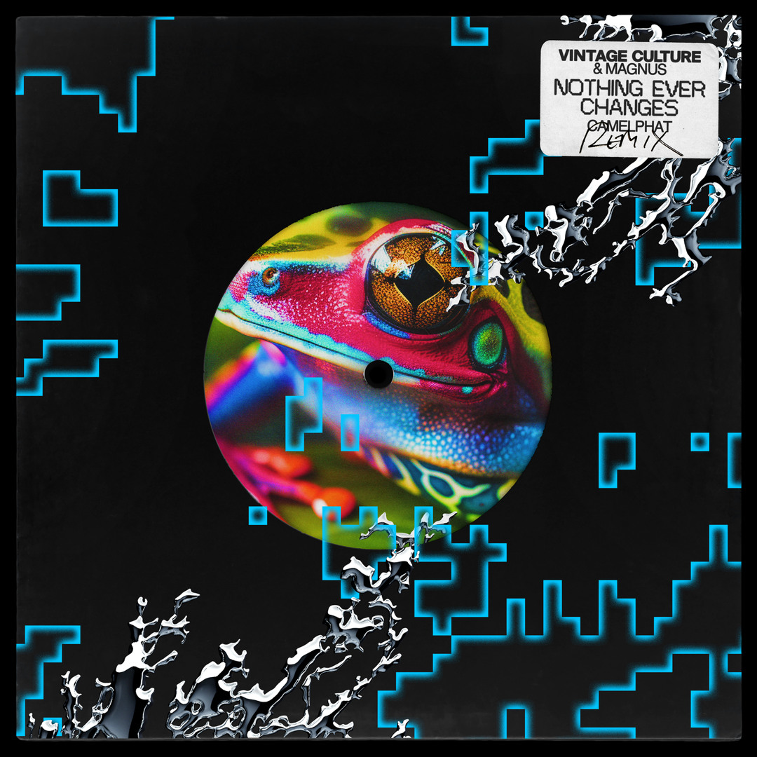 Stream Nothing Ever Changes (Camelphat Remix) by Vintage Culture