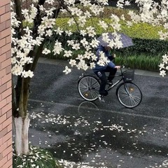 아직도 그 자리에 Still Where You Leave Me| SONN985