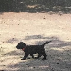 365 (feat. Babyohikari)