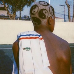 polaroids in reverse acoustic