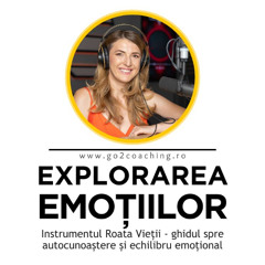 Roata Emoțiilor - ghidul tău pentru autocunoaștere și echilibru emoțional