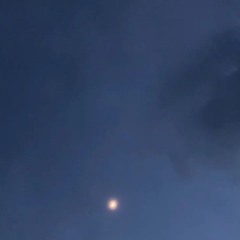 belmont girl - everytime