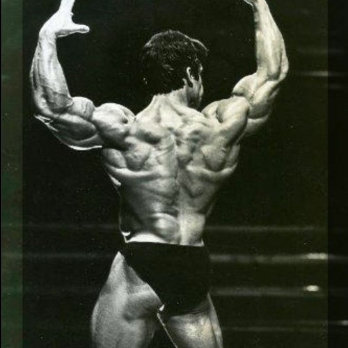 Shizzy x Kevin Levrone x Mike Mentzer x Deftones - be quiet and drive