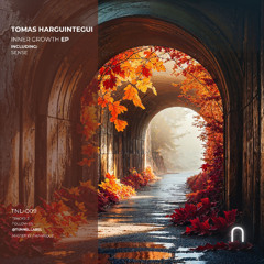 Tomas Harguintegui - Sense [Tunnel Label]