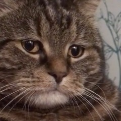 ATL - Юность - 89