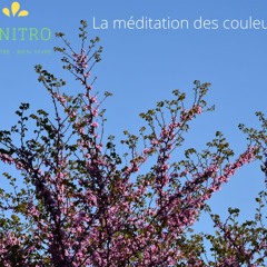 Méditation 2 🎨 La Méditation Des Couleurs