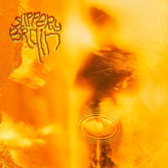 portal reopening - slippery brain