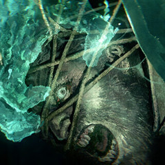 The World saw me drowning