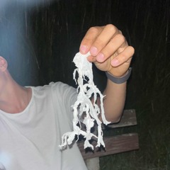 ichglaubichwar17