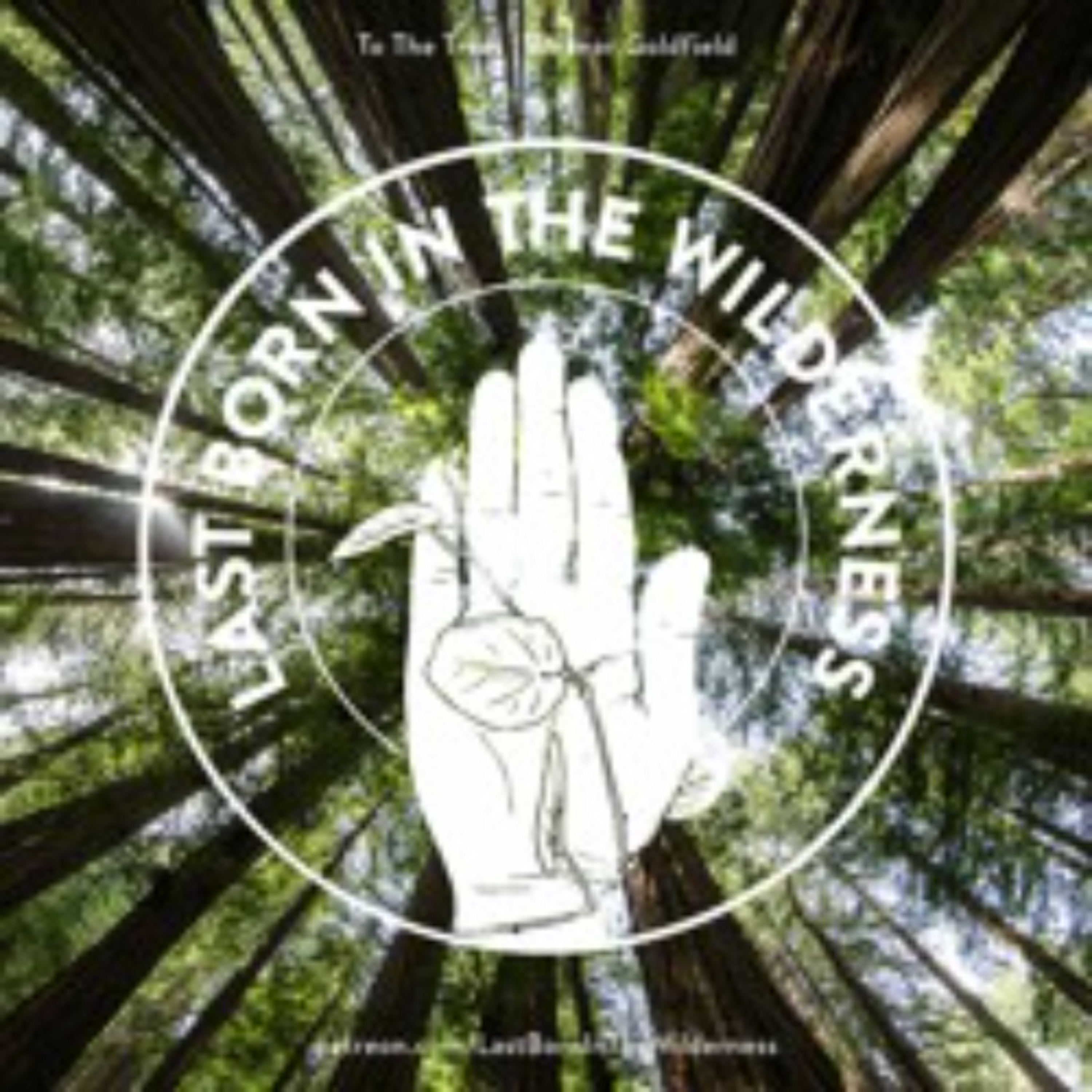 Preview / To The Trees / Eleanor Goldfield
