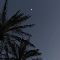 ومن كثر شوقي إليك حيرتي غارت عليك:(