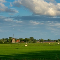 LUSTRE - Phantom Part II