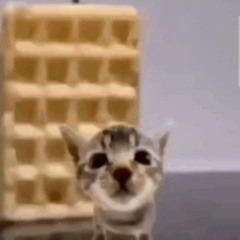 waffle night
