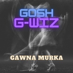 Gosh G Wiz (remix)