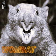 Wombat