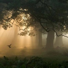 Reverence - The Mystic | Ambient