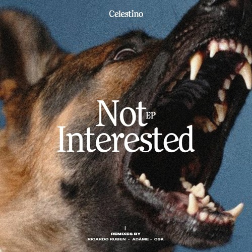 Premiere CF: Celestino — Not Interested (Original Mix) [Maleante Records]
