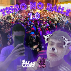 Tribo no Baile 1.0 - Mc Lamar e Pedro.H43