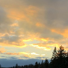 All I Want - Cover ft. Rick Salucci