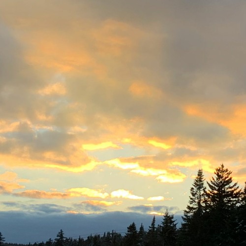 All I Want - Cover ft. Rick Salucci