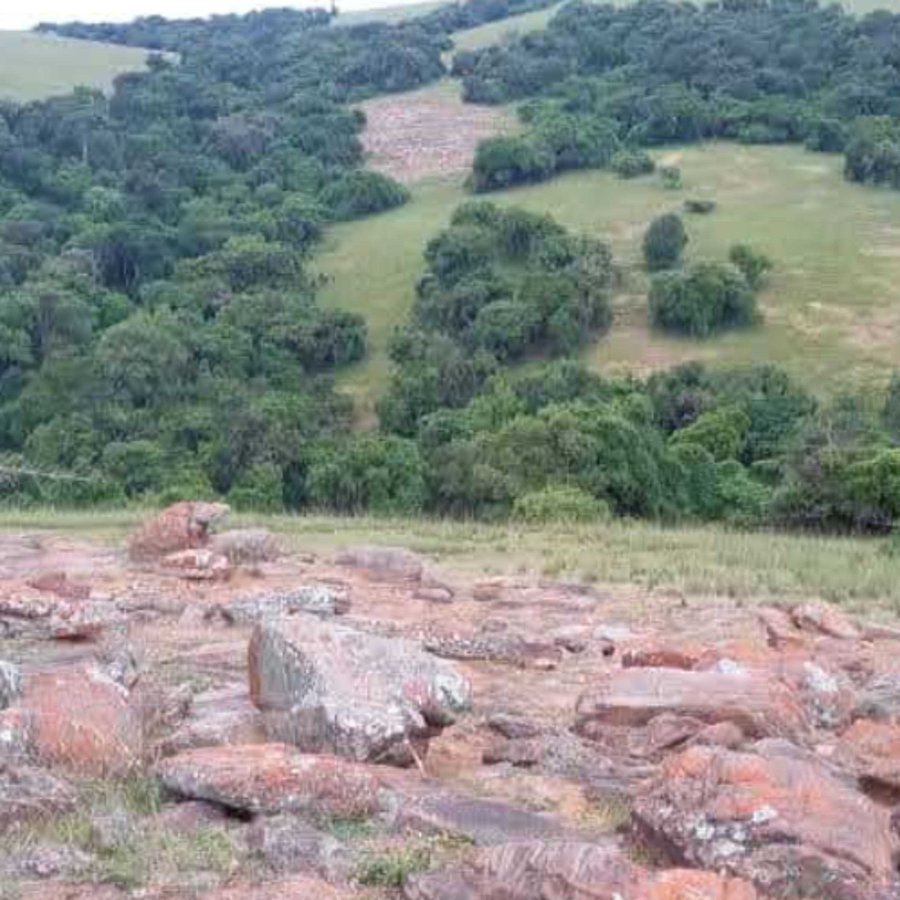 Indigenous Rights Radio