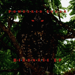 Birdnose | Powdered Sugar