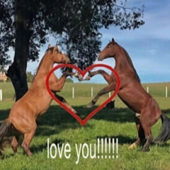 let me be your umbrella