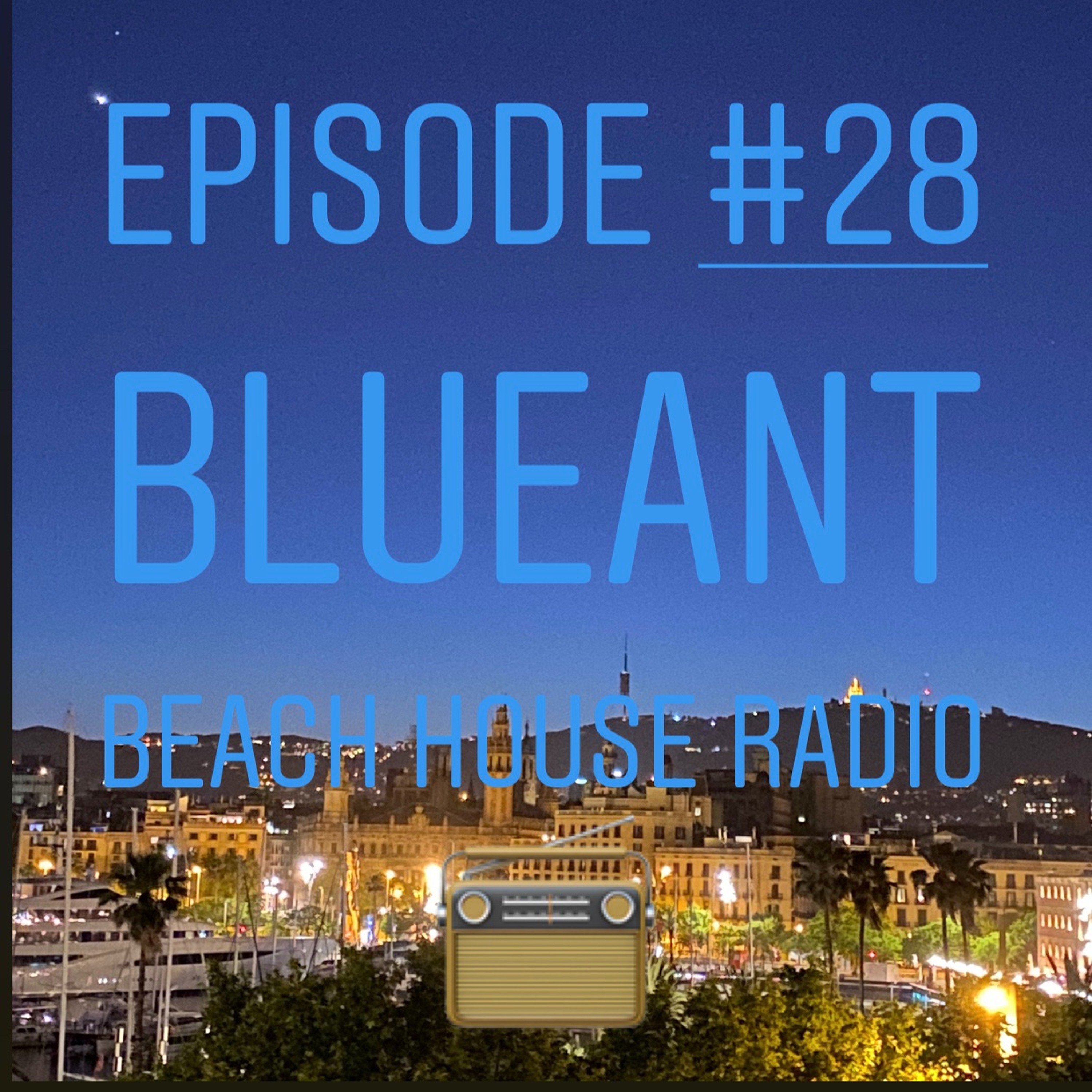 BlueAnt Beach House Radio