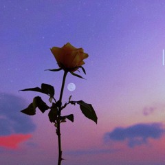 (FREE) Lo-fi Type Beat - Someday...