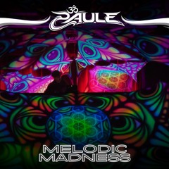 "Melodic Madness" Progressive Psytrance - Psylandrheinland 28.03.2025