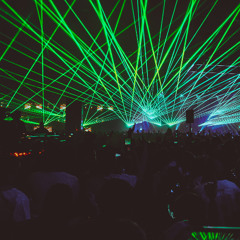 LAMB RAVE