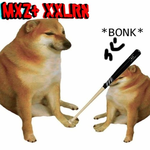 MXZ+ x XXLRN | BHONK