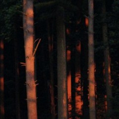 Counting Sheep [prod. mxdwave]