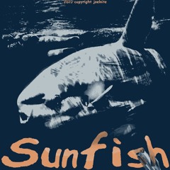 sunfish instrumental